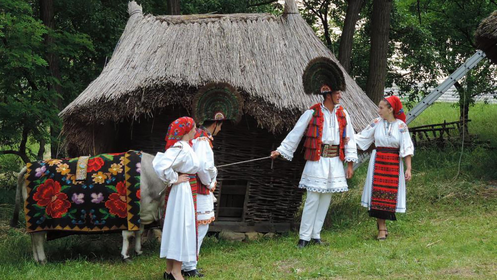 Parcul Etnografic National Romulus Vuia