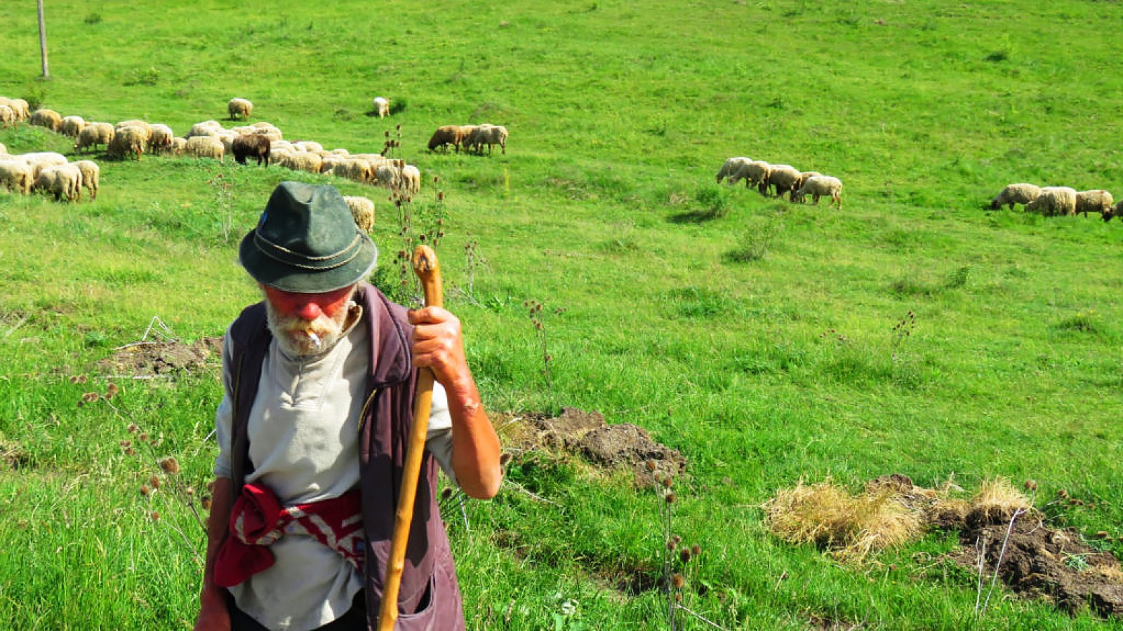 Maramures Wooden Churches Route