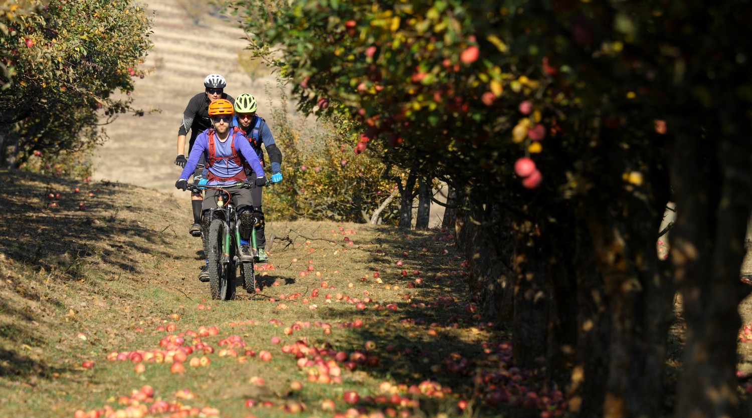 Turul Discovery în Transilvania pe E-bike